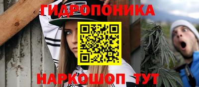 кокс Гагарин