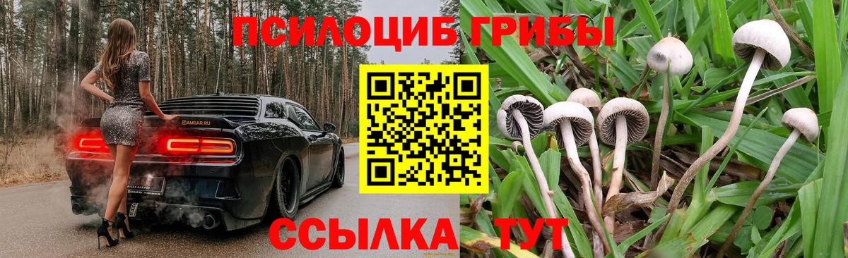 Псилоцибиновые грибы ЛСД Лесозаводск