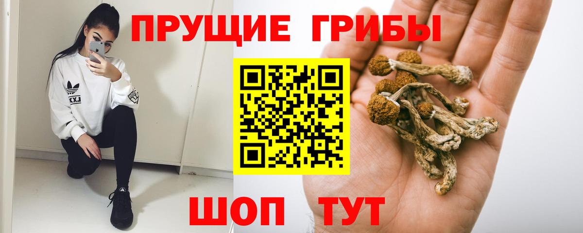 Лесозаводск  Галлюциногенные грибы мухоморы  наркота  Вход с VPN 
